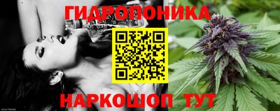 спиды Моздок
