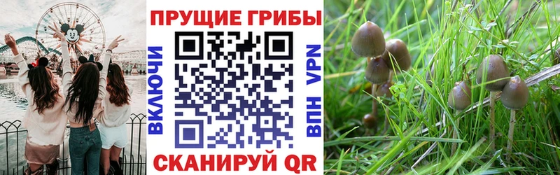 наркошоп Борзя Галлюциногенные грибы мухоморы