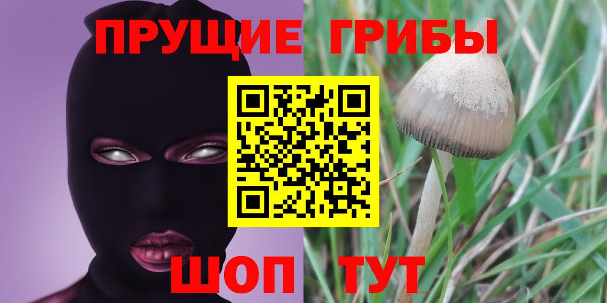 Псилоцибиновые грибы прущие грибы Борзя