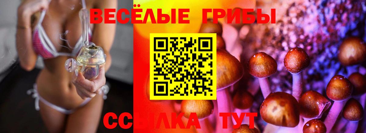 Галлюциногенные грибы ЛСД  Вход с VPN  Борзя 